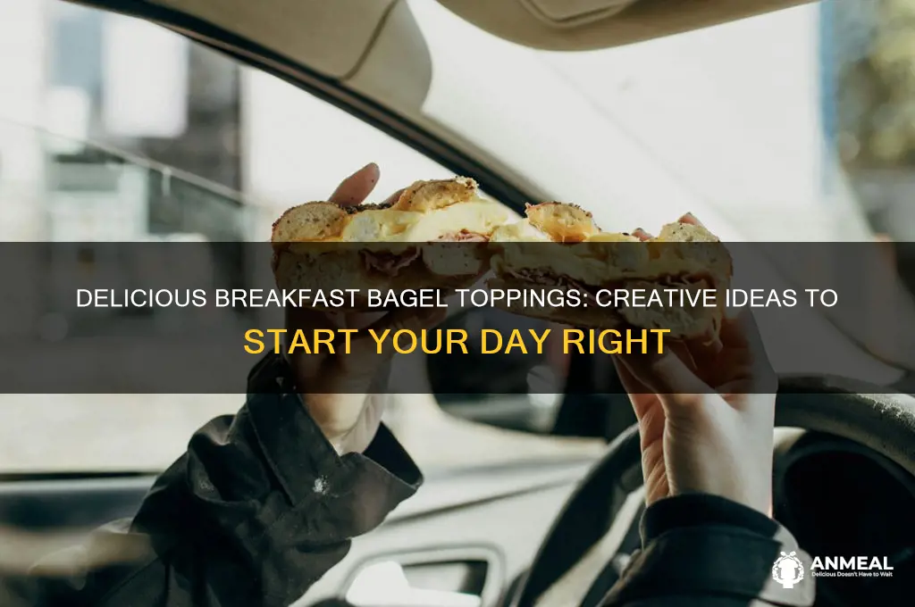what to put on a bagelbfor breakfast