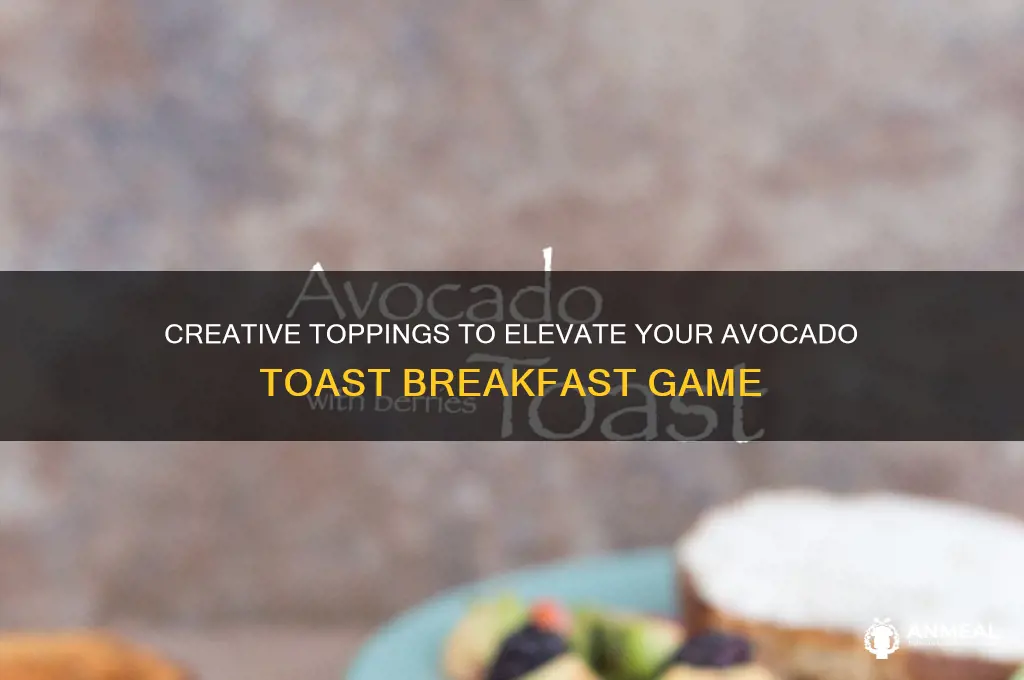 what to put on avocado toast for breakfast