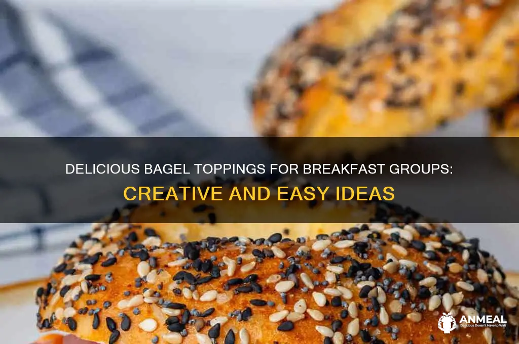what to put on bagels for breakfast groups
