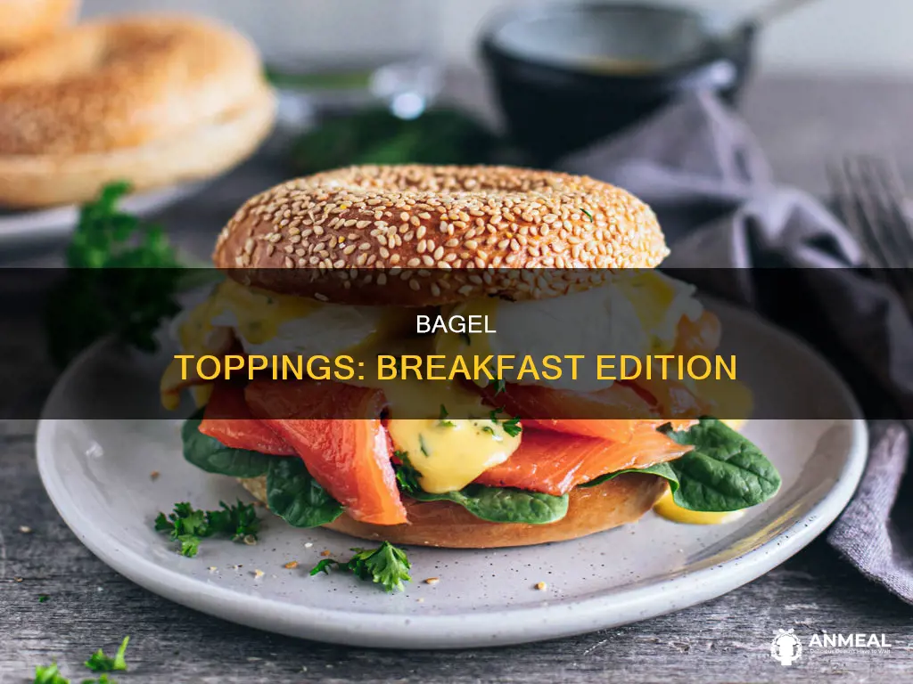 what to put on bagels for breakfast