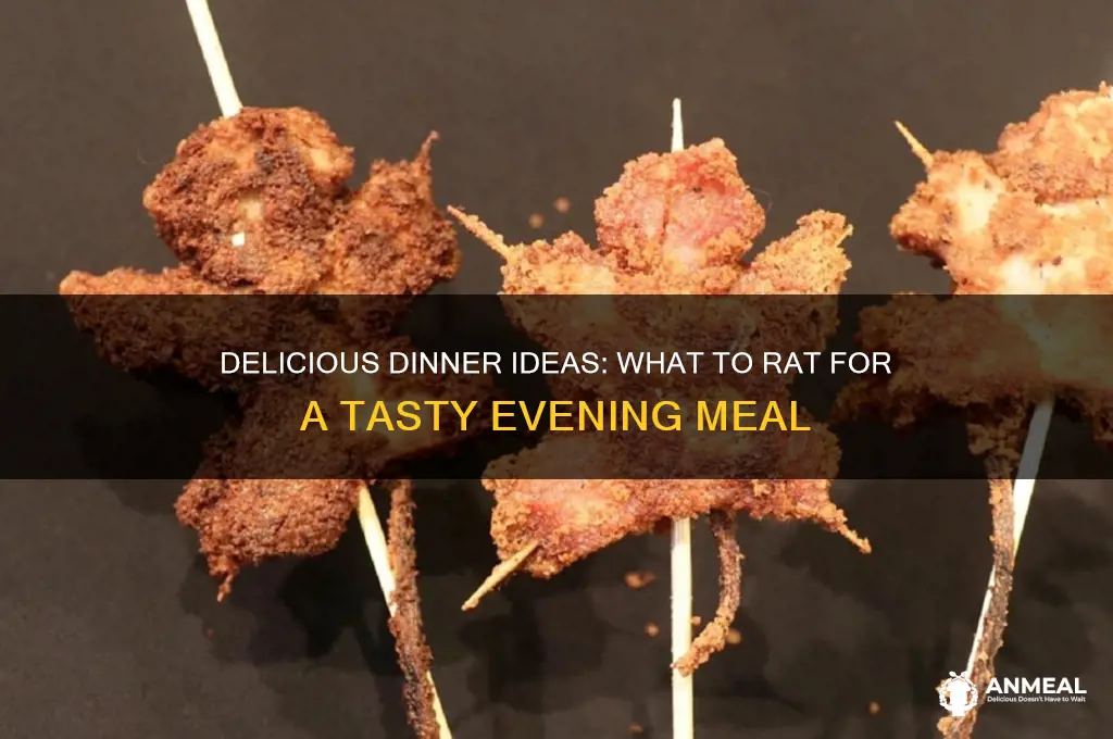 what to rat for dinner