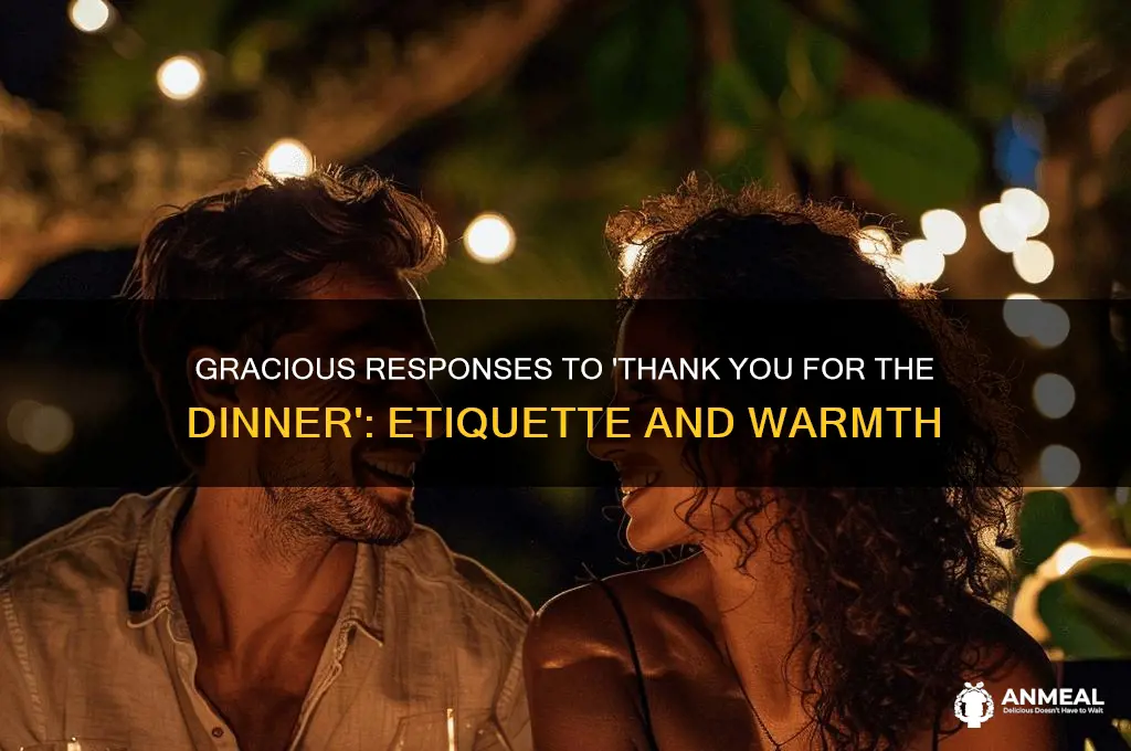 what to respond to thank you for the dinner