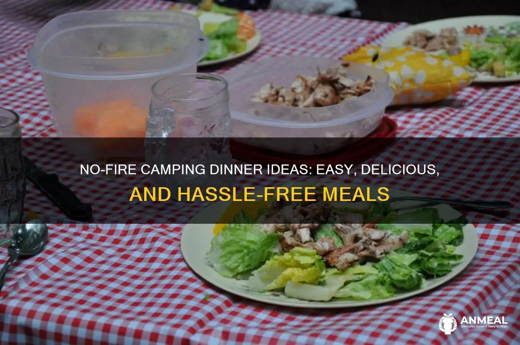 what to take for dinner camping with no fire