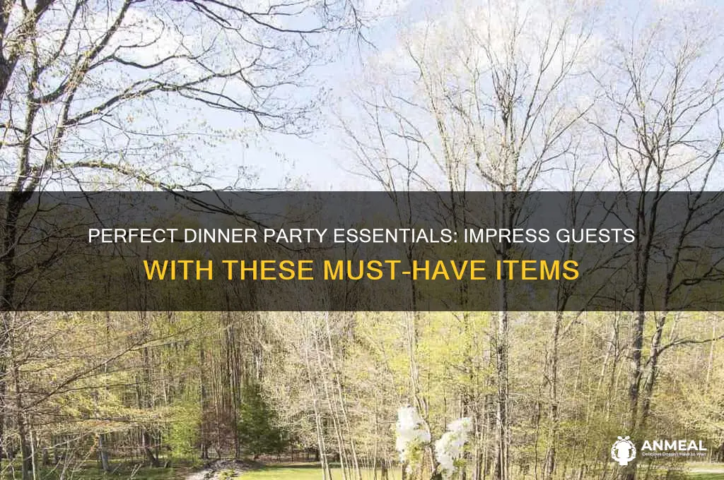 what to take for dinner party
