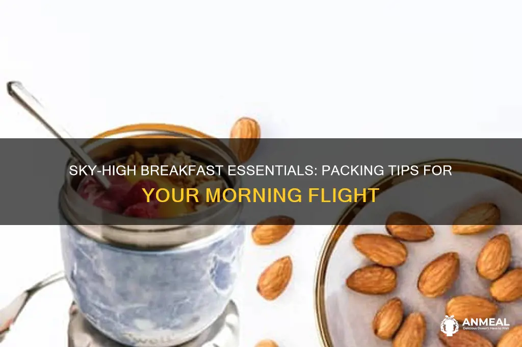 what to take on an airplane for breakfast