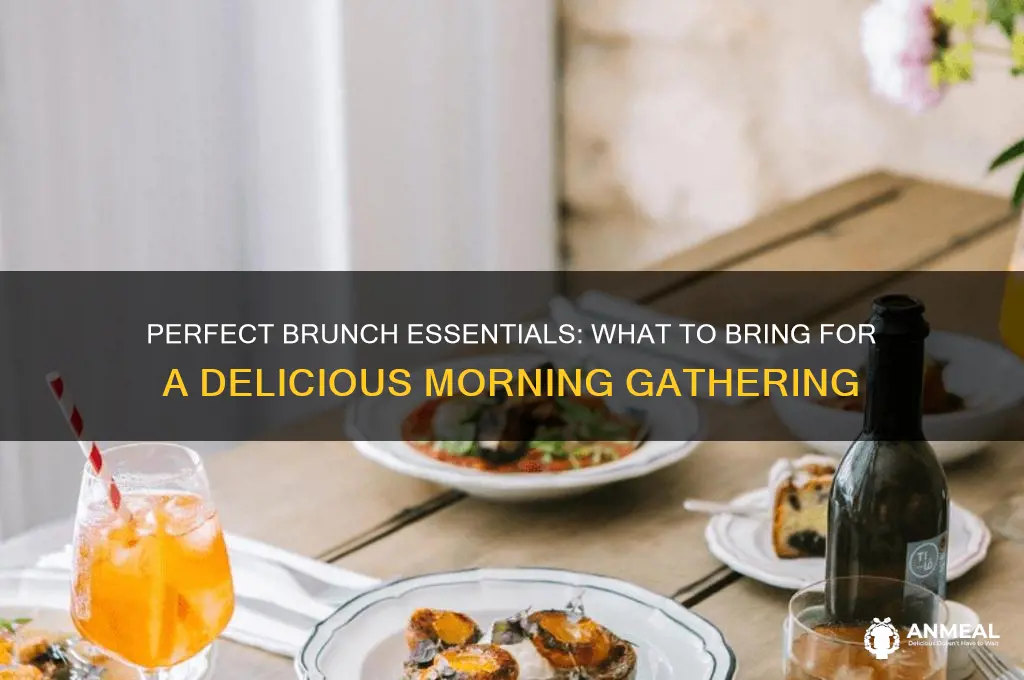 what to take to a breakfast brunch
