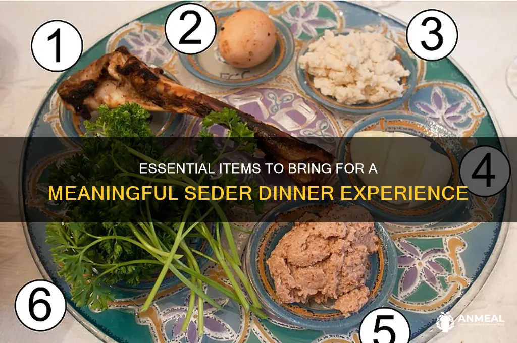 what to take to a seder dinner
