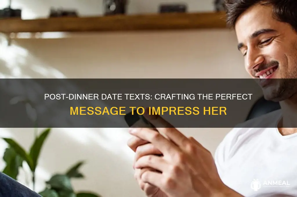 what to text a girl after your first dinner date