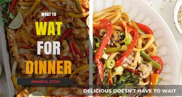 Delicious Dinner Ideas: Quick, Easy, and Satisfying Meals to Enjoy Tonight