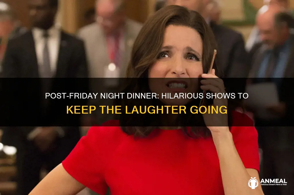 what to watch after friday night dinner