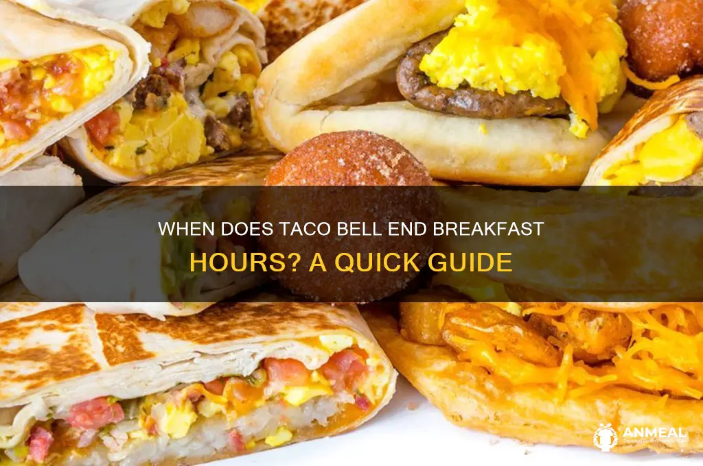 what tome does taco bell stop breakfast