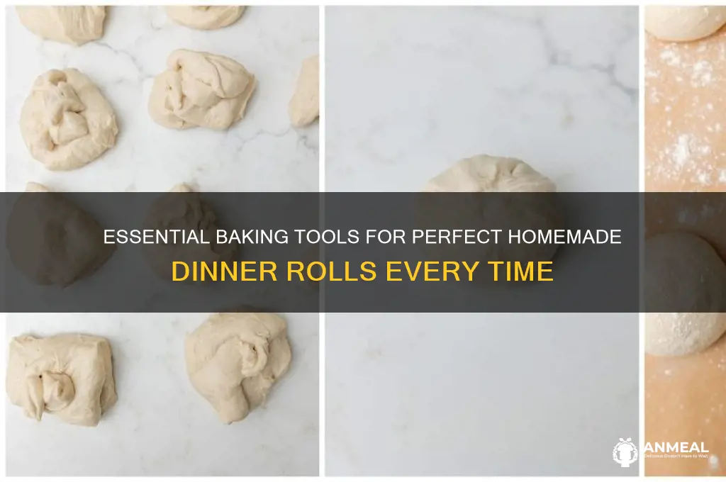 what tools do you need when baking dinner rolls