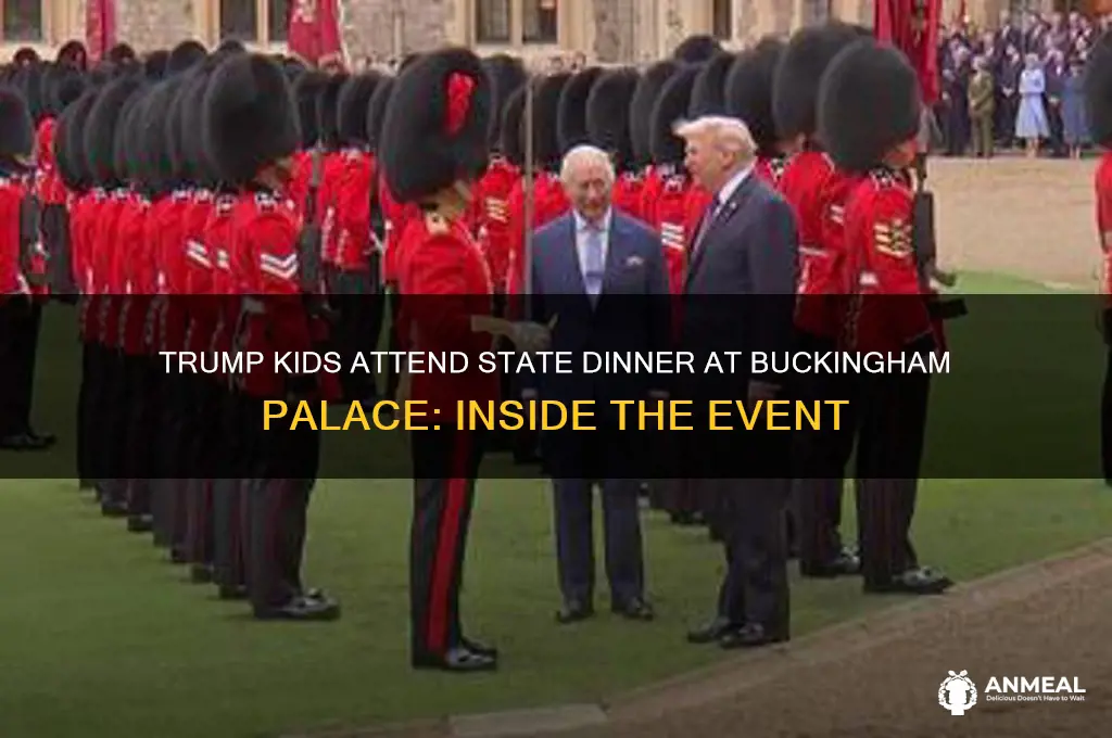 what trjmp kids went to state dinner at palace