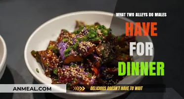 Two Alley Dinner Options: Exploring Male Preferences for Evening Meals