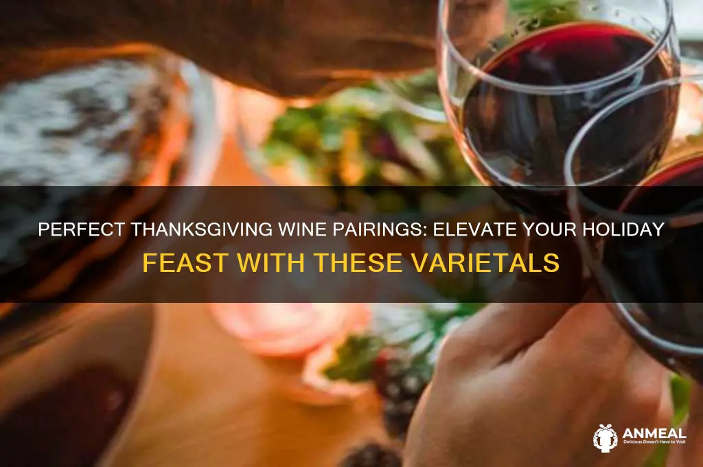 what ty6pe of wines go with tahnksgiving dinner