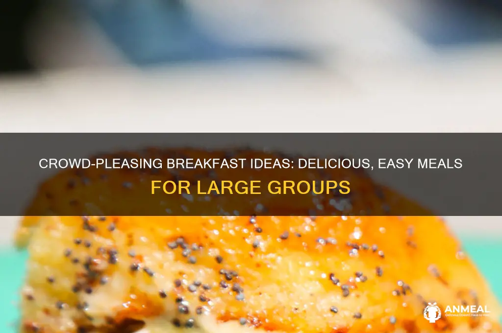 what type food for breakfast for big crowd