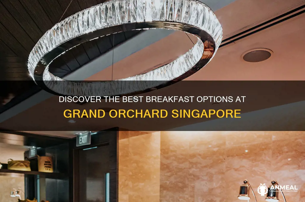 what type of breakfast at grand orchard singapore