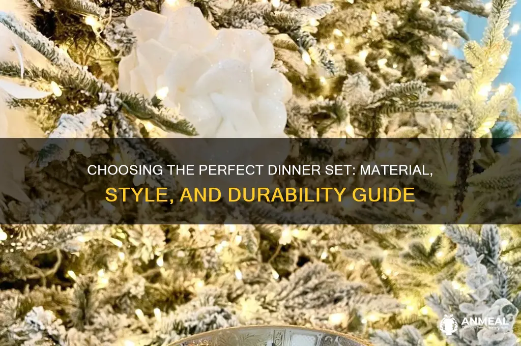 what type of dinner set should i get