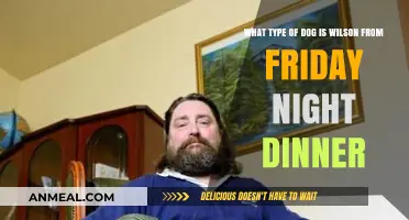 Unveiling Wilson's Breed: Friday Night Dinner's Canine Star Explored