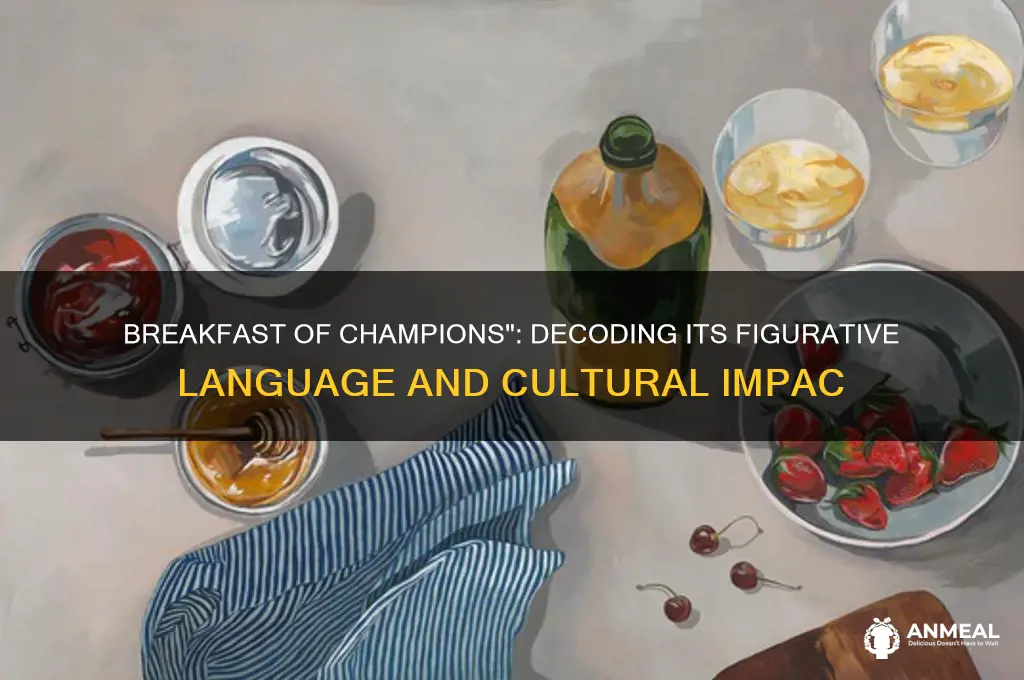 what type of figurative language is breakfast of champions