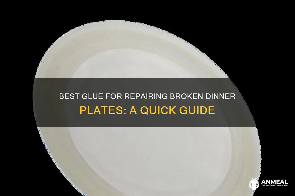 what type of glue for broken dinner plate