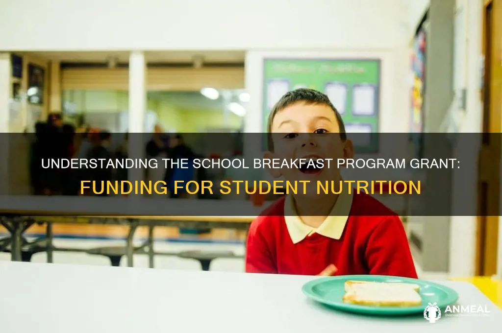 what type of grant is school breakfast program