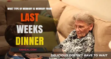 Last Week's Dinner: Exploring the Type of Memory It Creates