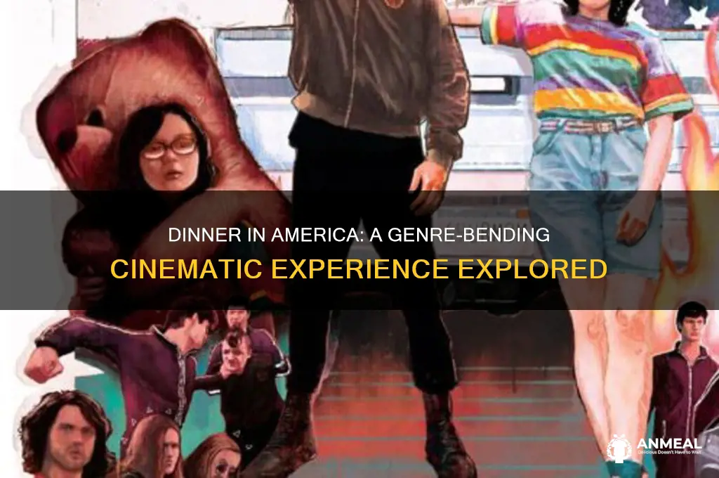 what type of movie is dinner in america
