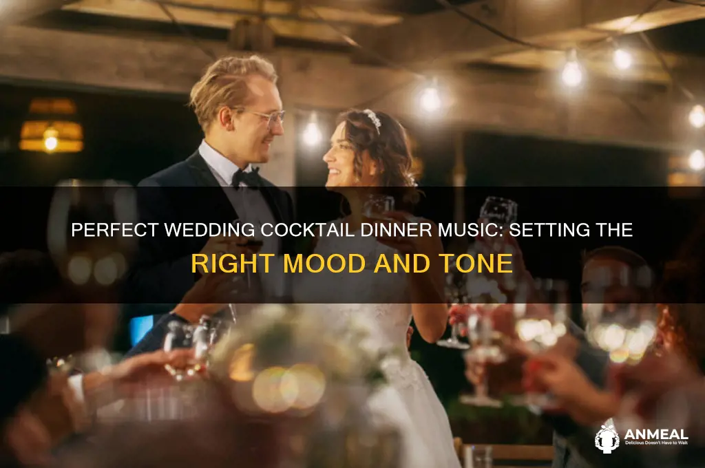 what type of music to play during wedding cocktail dinner