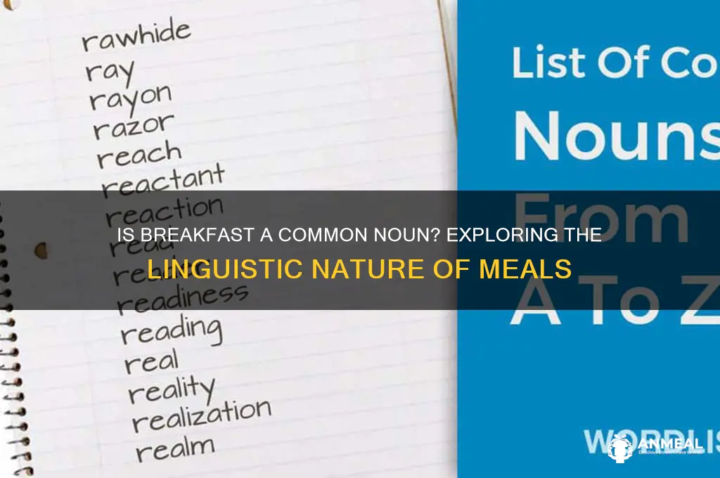 what type of noun is breakfast