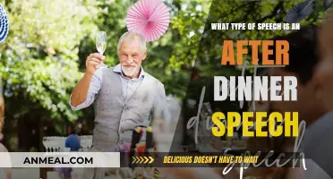 Understanding After-Dinner Speeches: Types, Purpose, and Key Characteristics