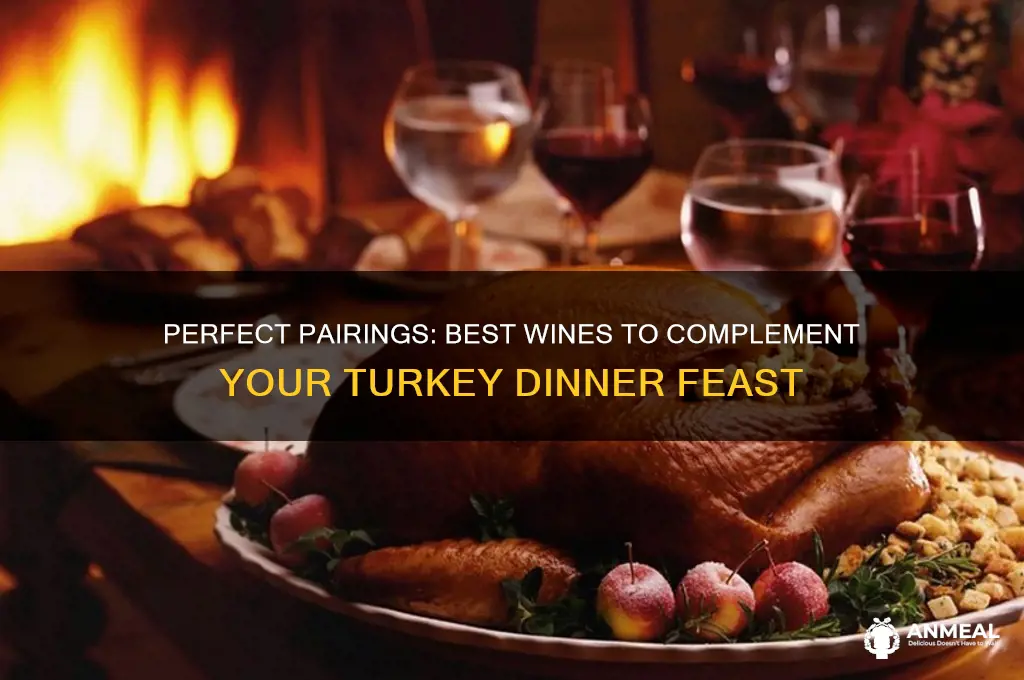 what type of wine goes best with turkey dinner