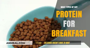 Boost Your Breakfast: Best Soy Protein Types to Start Your Day