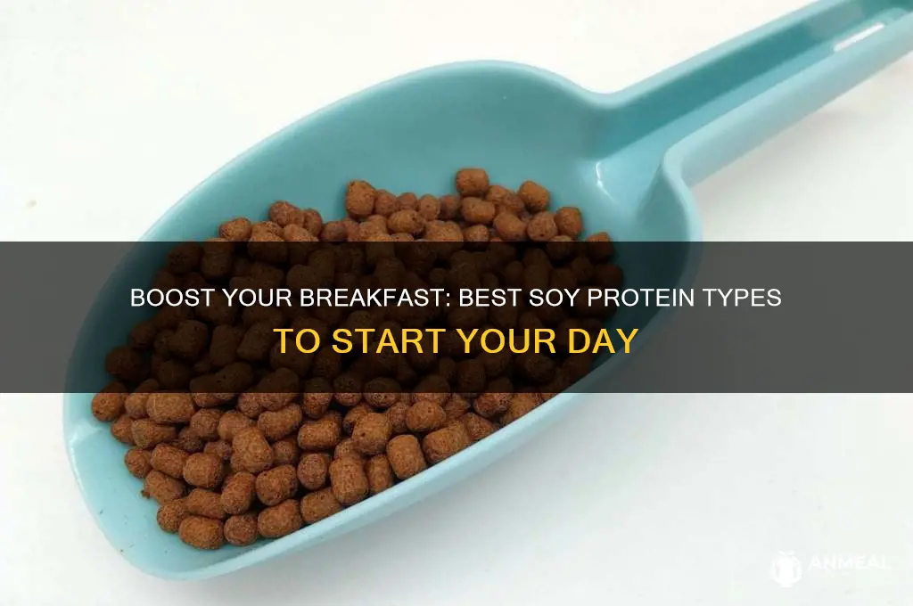 what types of soy protein for breakfast