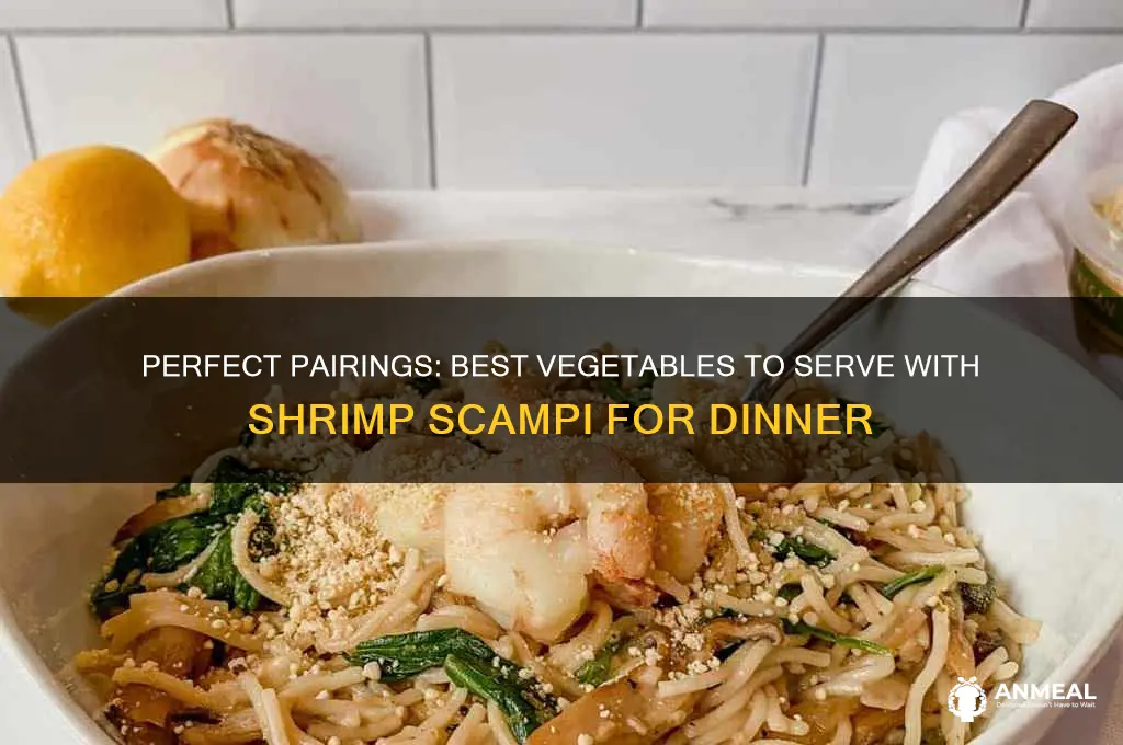what vegetable goes with shrimp scampi for dinner
