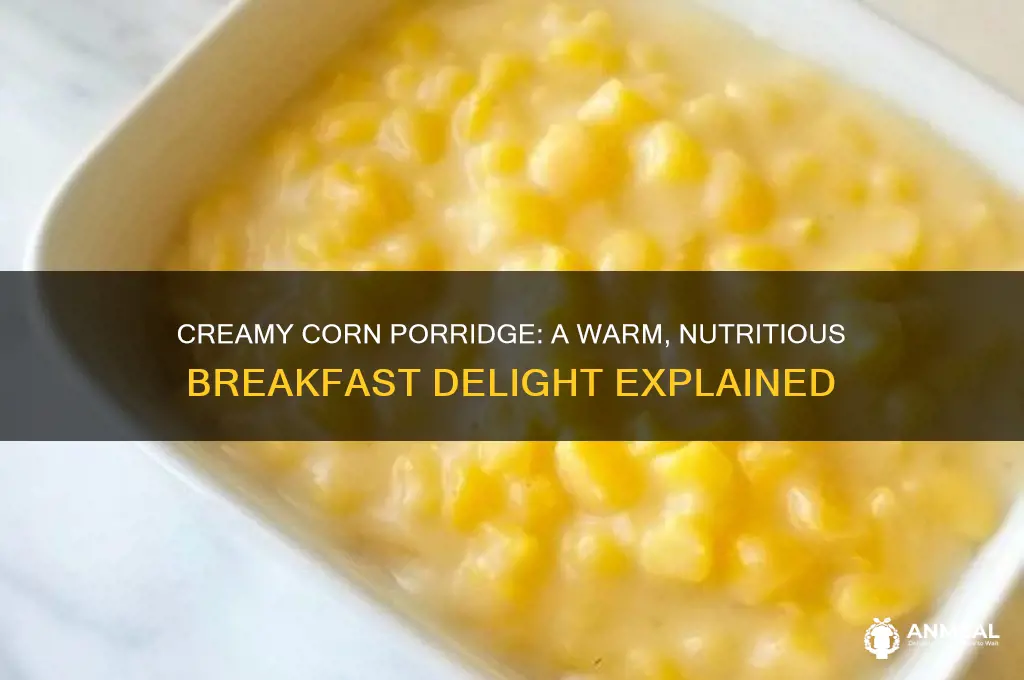 what warm breakfast porridge is made out of corn
