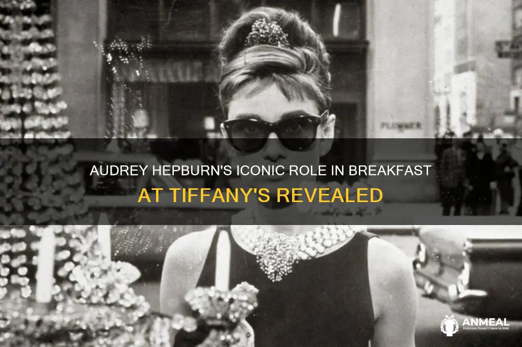 what was audrey hepburn