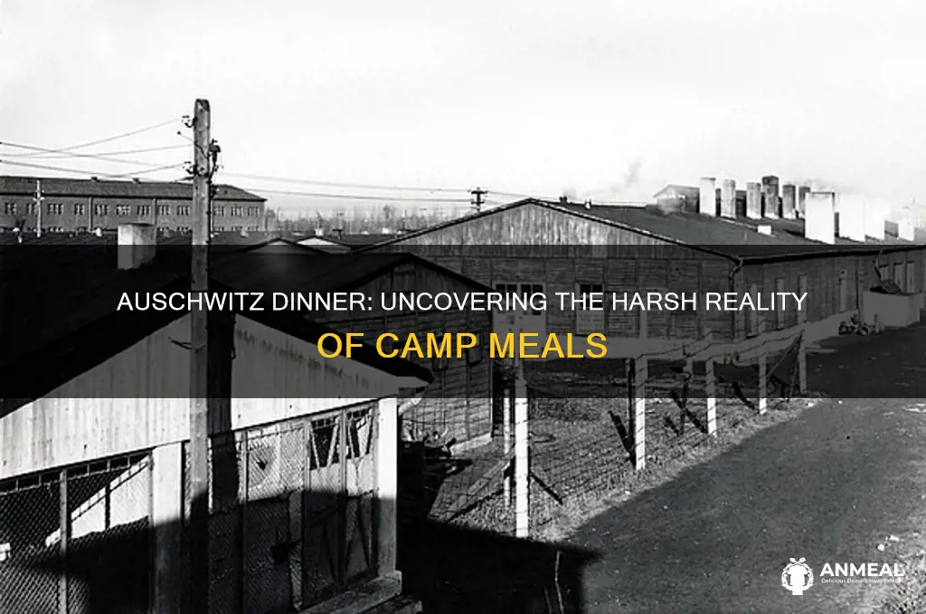 what was dinner in auschwitz