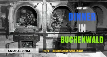 Dinner in Buchenwald: Uncovering the Harrowing Reality of Camp Meals