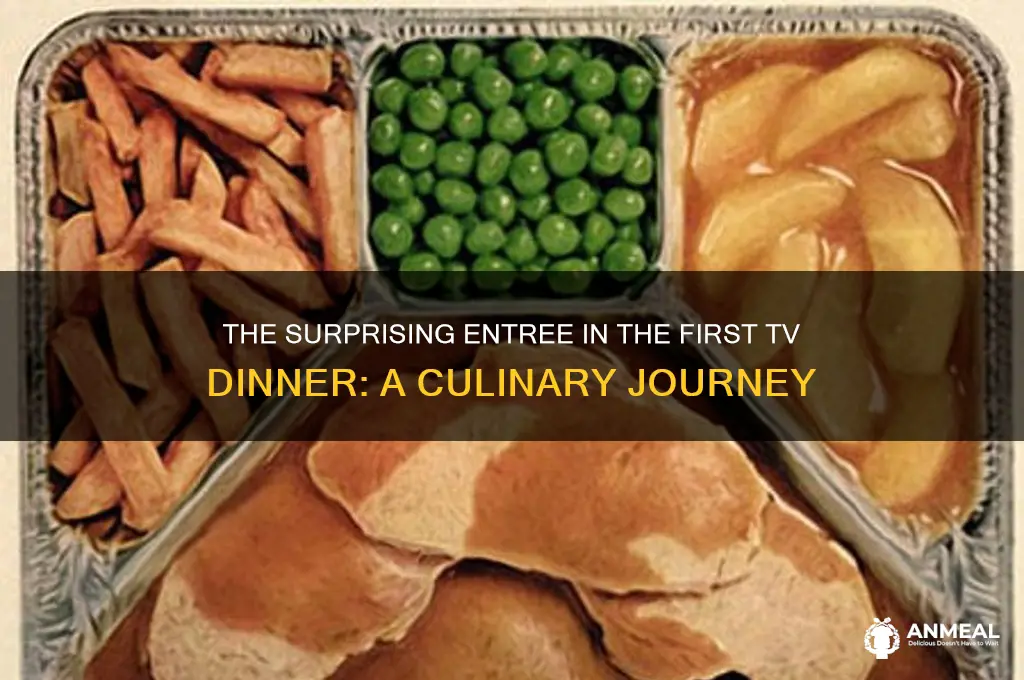 what was entree in first tv dinner