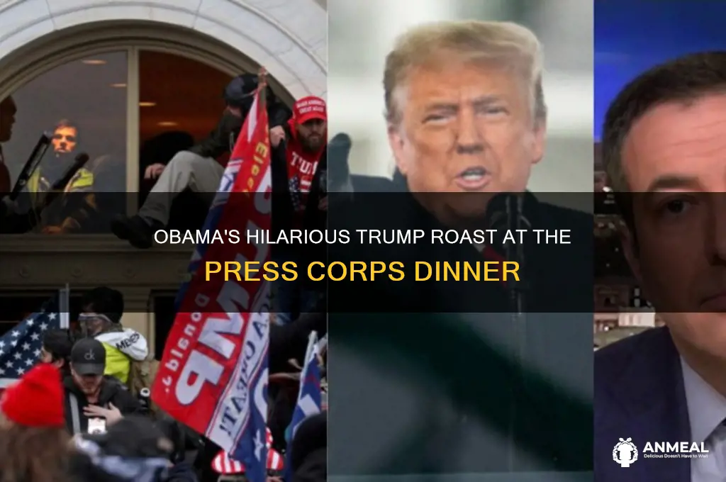 what was obama