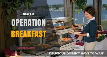 Operation Breakfast: Uncovering the Secret Mission's Surprising Origins and Impact