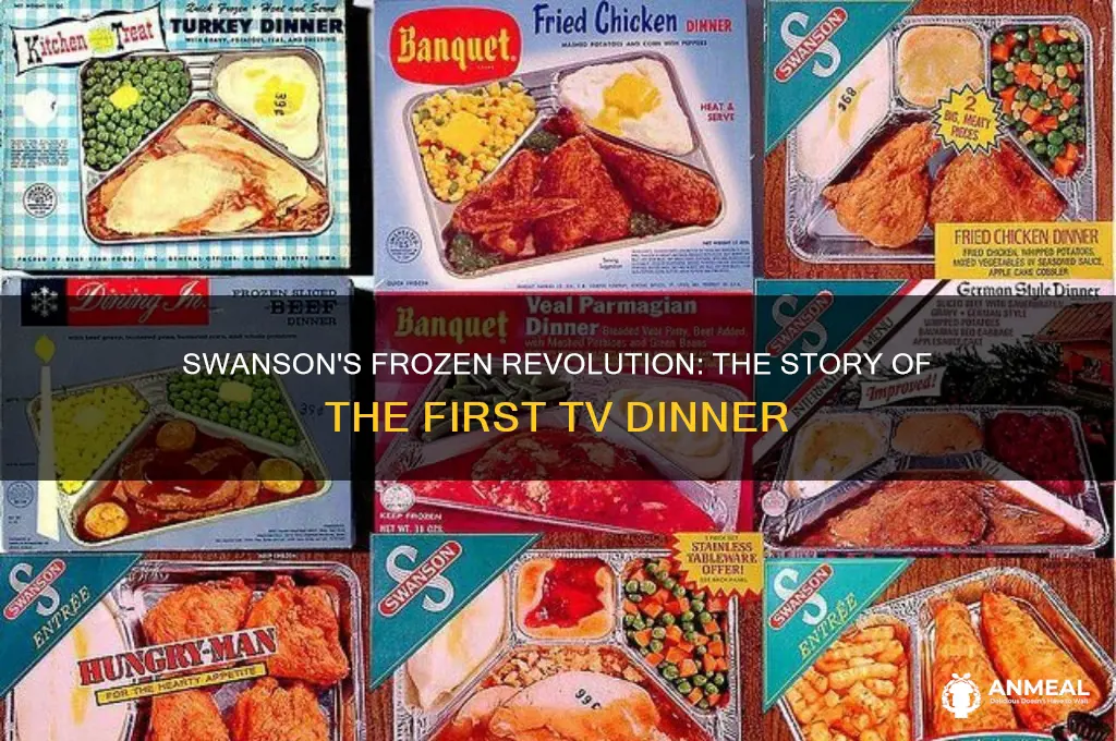 what was swansons first froxen dinner