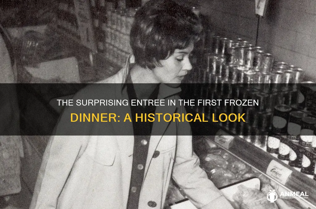 what was the entree in first frozen dinner