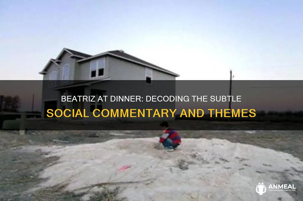 what was the meaning of the movie beatriz at dinner