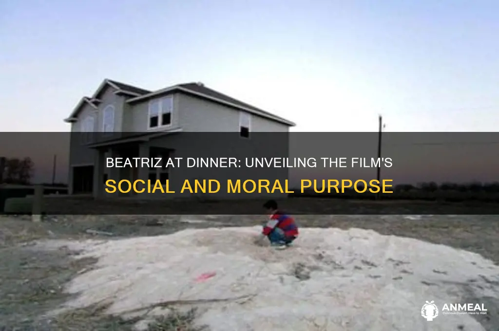 what was the purpose of beatriz at dinner