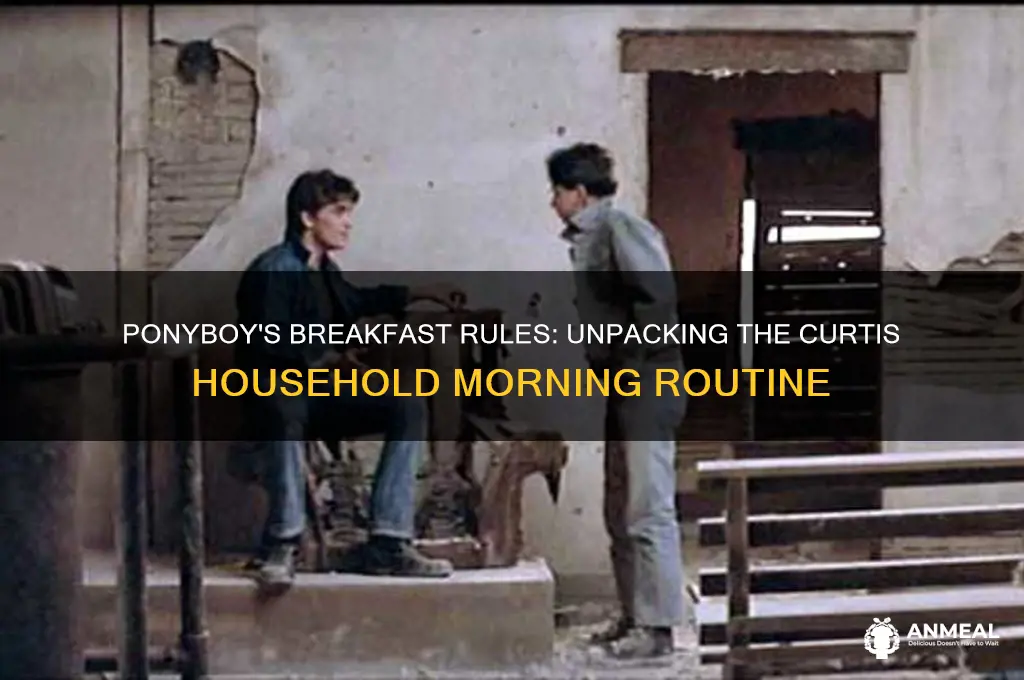 what was the rule about breakfast in ponyboy