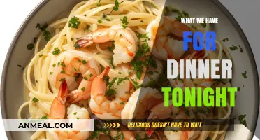 Tonight's Dinner Menu: Delicious, Easy, and Family-Approved Recipes to Try