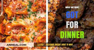 Tonight's Dinner Delights: Exploring Our Evening Meal Creations