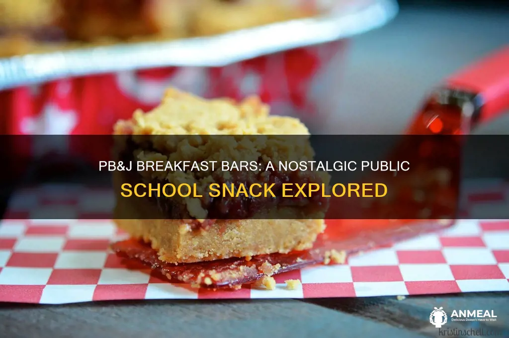 what were the pb&j breakfast bars at public school